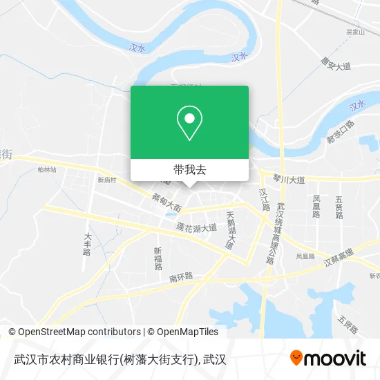 武汉市农村商业银行(树藩大街支行)地图