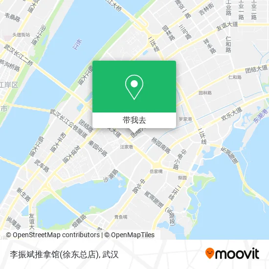 李振斌推拿馆(徐东总店)地图
