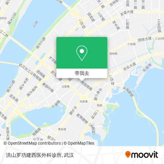洪山罗功建西医外科诊所地图