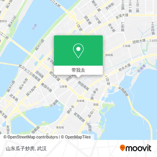 山东瓜子炒房地图