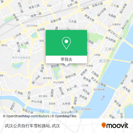 武汉公共自行车雪松路站地图
