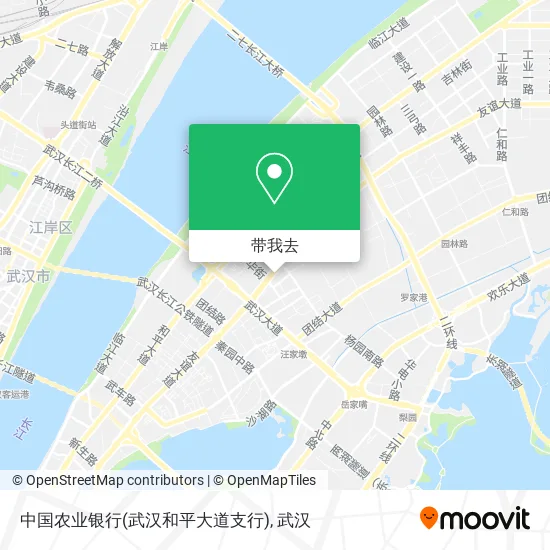 中国农业银行(武汉和平大道支行)地图