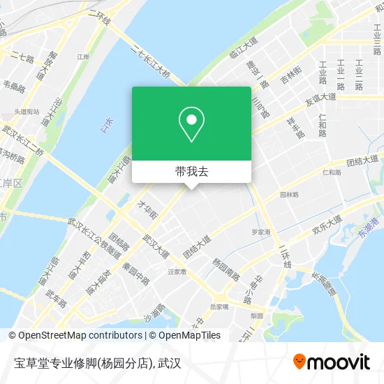 宝草堂专业修脚(杨园分店)地图