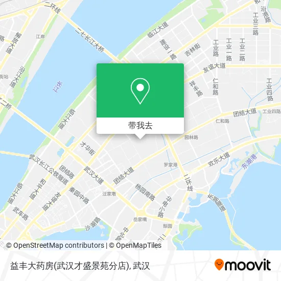 益丰大药房(武汉才盛景苑分店)地图