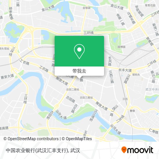 中国农业银行(武汉汇丰支行)地图