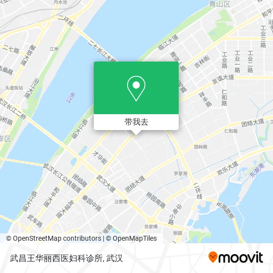 武昌王华丽西医妇科诊所地图