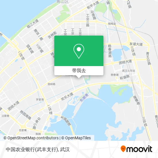 中国农业银行(武丰支行)地图
