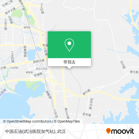 中国石油(武冶医院加气站)地图