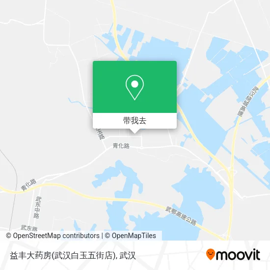 益丰大药房(武汉白玉五街店)地图