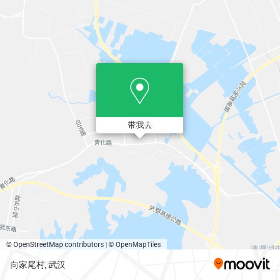 向家尾村地图