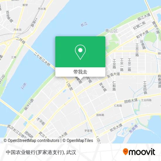 中国农业银行(罗家港支行)地图