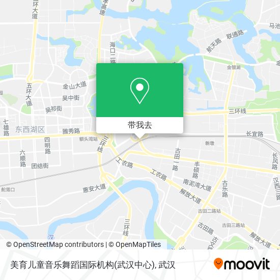 美育儿童音乐舞蹈国际机构(武汉中心)地图