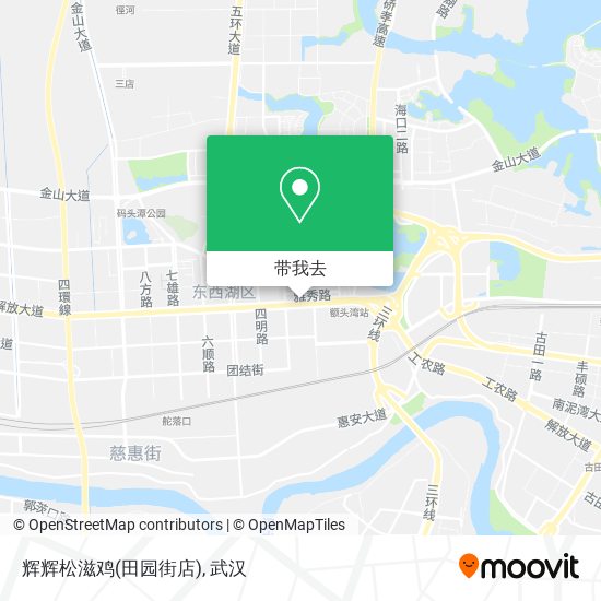 辉辉松滋鸡(田园街店)地图