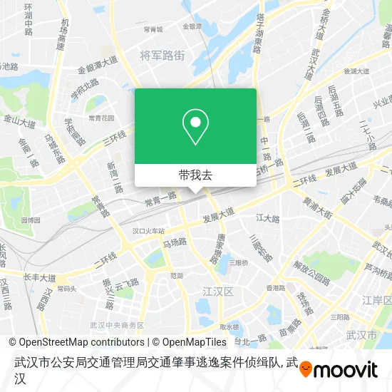武汉市公安局交通管理局交通肇事逃逸案件侦缉队地图