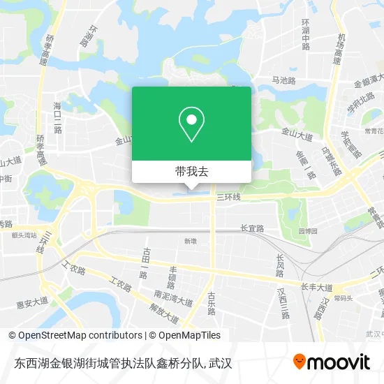 东西湖金银湖街城管执法队鑫桥分队地图