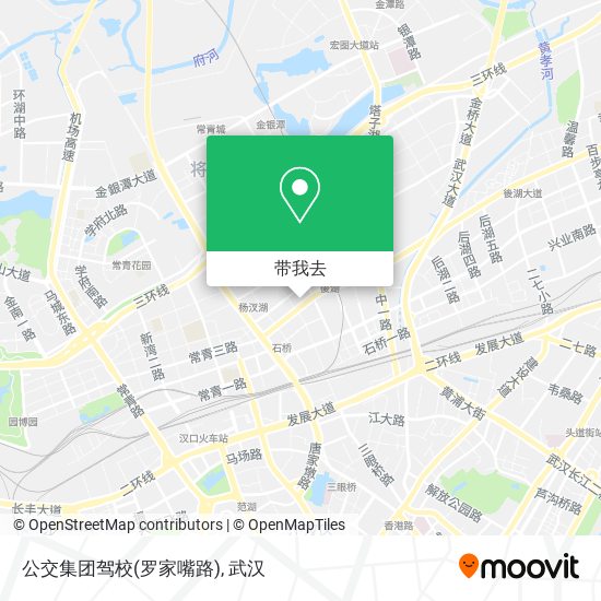 公交集团驾校(罗家嘴路)地图