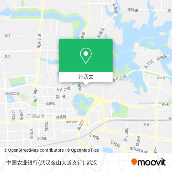 中国农业银行(武汉金山大道支行)地图