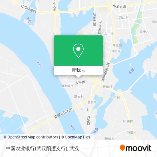 中国农业银行(武汉阳逻支行)地图