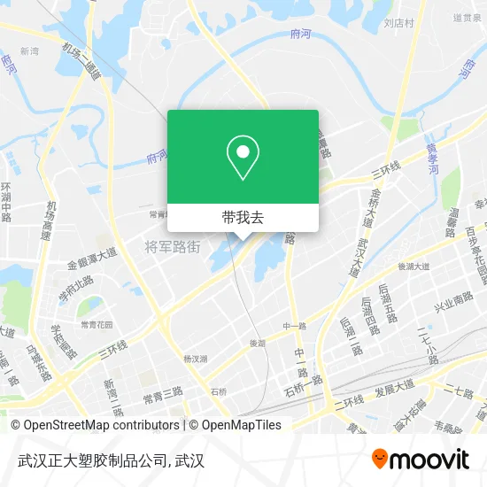 武汉正大塑胶制品公司地图