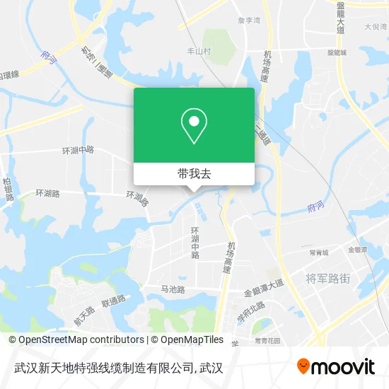 武汉新天地特强线缆制造有限公司地图