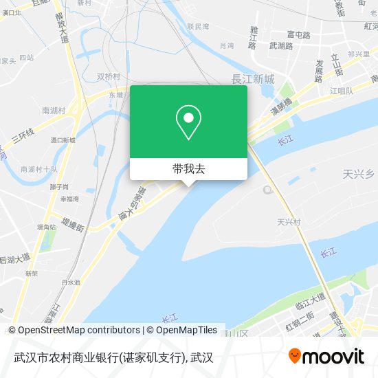 武汉市农村商业银行(谌家矶支行)地图
