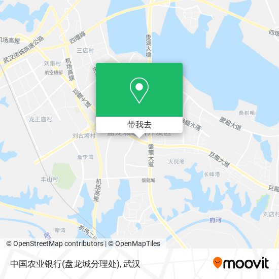 中国农业银行(盘龙城分理处)地图