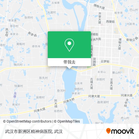 武汉市新洲区精神病医院地图