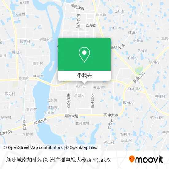 新洲城南加油站(新洲广播电视大楼西南)地图