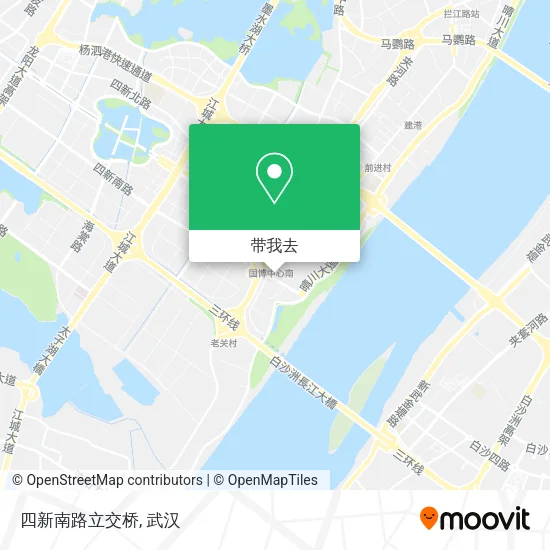 四新南路立交桥地图