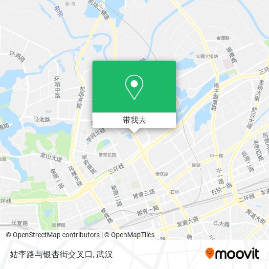 姑李路与银杏街交叉口地图