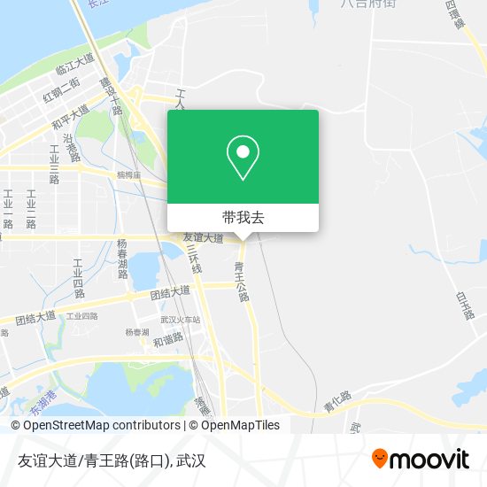 友谊大道/青王路(路口)地图
