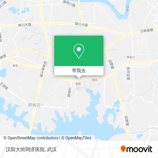 汉阳大街同济医院地图