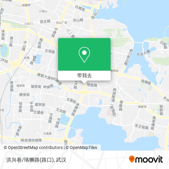 洪兴巷/珞狮路(路口)地图