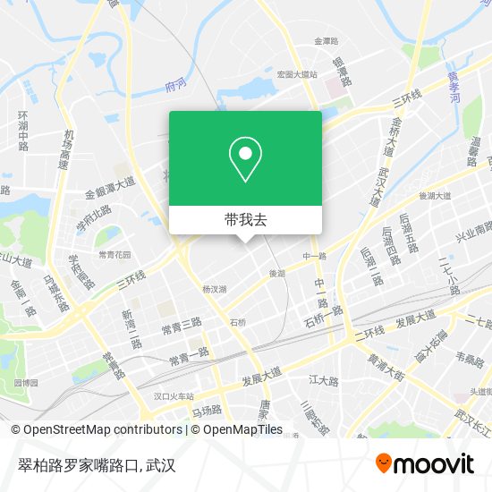 翠柏路罗家嘴路口地图