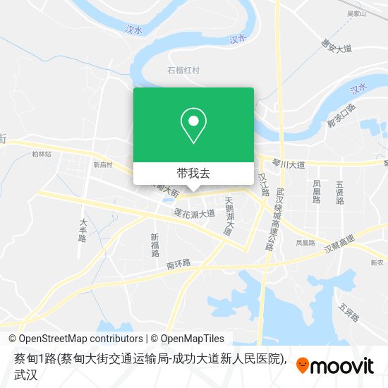 蔡甸1路(蔡甸大街交通运输局-成功大道新人民医院)地图