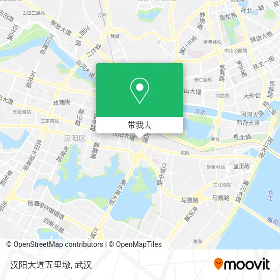 汉阳大道五里墩地图