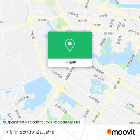 四新大道龙阳大道口地图