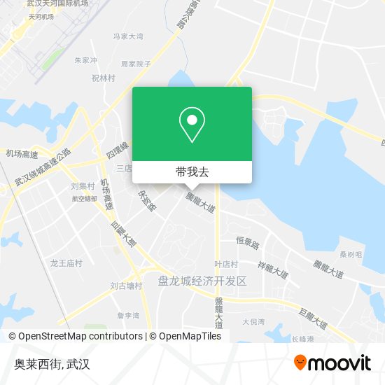 奥莱西街地图