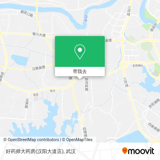 好药师大药房(汉阳大道店)地图