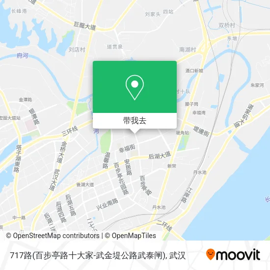 717路(百步亭路十大家-武金堤公路武泰闸)地图