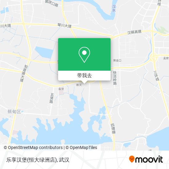 乐享汉堡(恒大绿洲店)地图