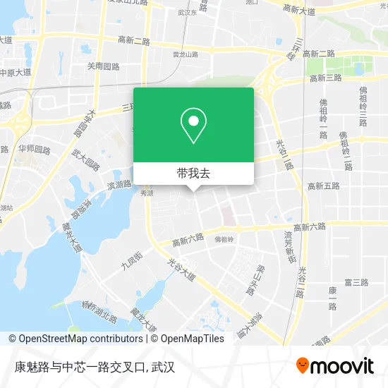 康魅路与中芯一路交叉口地图