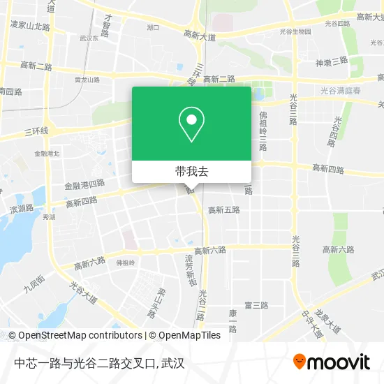 中芯一路与光谷二路交叉口地图