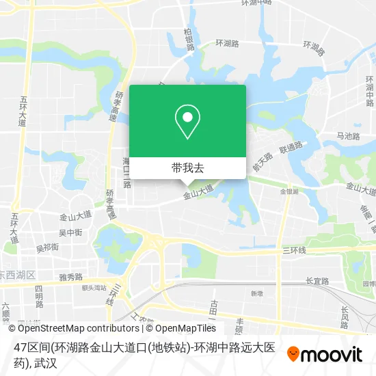 47区间(环湖路金山大道口(地铁站)-环湖中路远大医药)地图