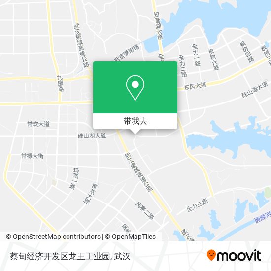 蔡甸经济开发区龙王工业园地图