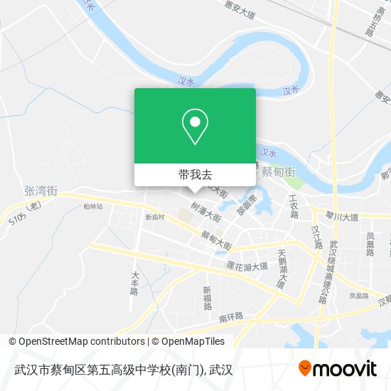 武汉市蔡甸区第五高级中学校(南门)地图