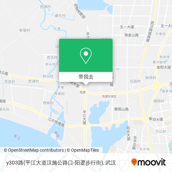 y303路(平江大道汉施公路口-阳逻步行街)地图