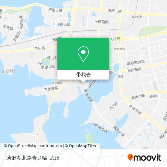 汤逊湖北路青龙嘴地图