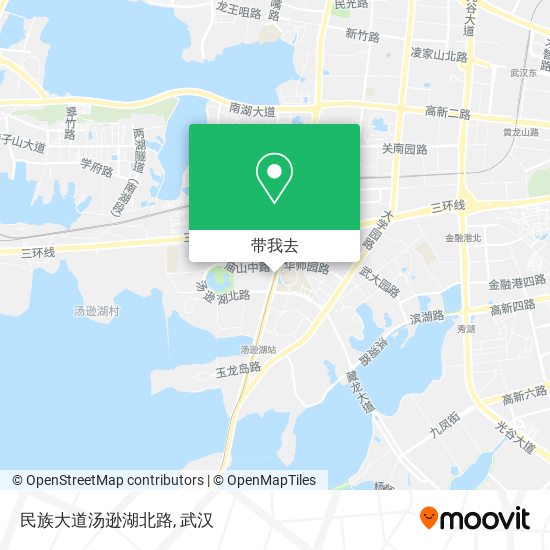 民族大道汤逊湖北路地图