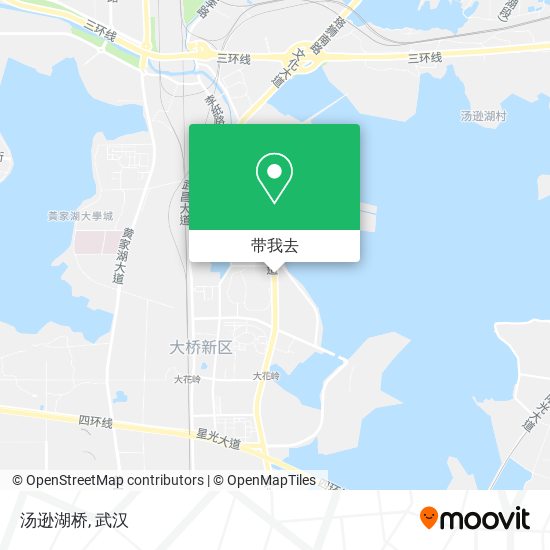 汤逊湖桥地图